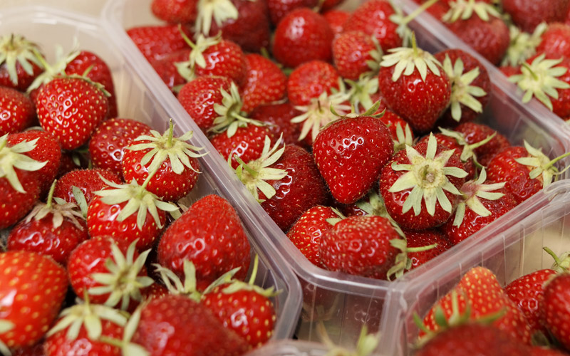 fraises